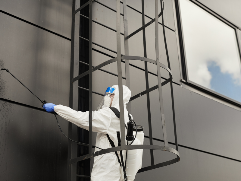 Nettoyage facade